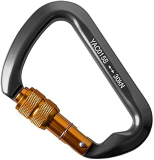 2win2buy 30KN Rock Climbing Carabiner, D-shaped Locking Screwgate Carabiner Hot-forged Magnalium Climber Hiking/Travel/Mountaineer Karabiner Outdoor Sport Tools (1 Pack)