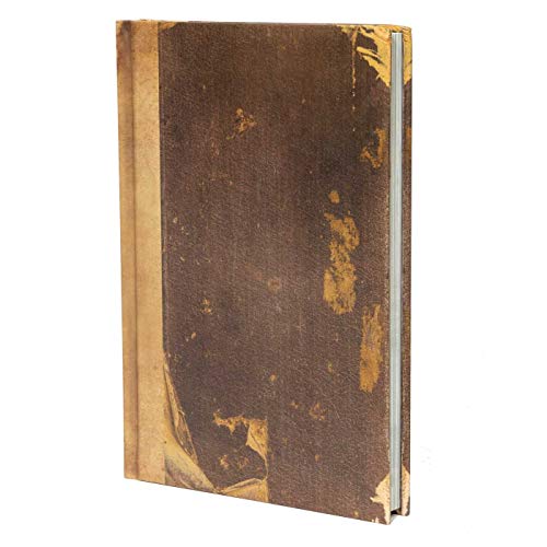 Image of Scary Stories to Tell in the Dark: The Haunted Notebook of Sarah Bellows