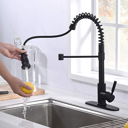 https://m.media-amazon.com/images/I/41oLcdhxZ-L._SL500_.jpg
