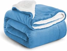 IR Imperial Rooms Sherpa Fleece Throw Blanket Twin Size for Couch - Thick and Warm Fluffy Light Blue Blankets for Winter, Soft and Fuzzy Twin Blanket for Bed, 60x80 Inches
