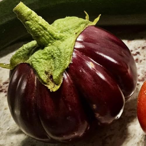 Growing with Missy #3 ~ Eggplant