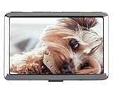 Estuche para tarjetas de visita, juego Estuche para tarjetas de visita con soporte para tarjetas de visita panda animal (acero inoxidable)