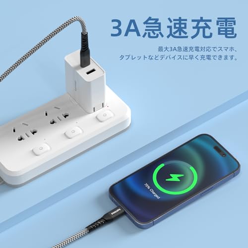 Philips (フィリップス) Apple MFi認証取得 USB-C & Lightningケーブル 3A急速充電 高速データ転送 高耐久 iPhone/iPad/iPodなどの Lightning端末対応 1.25m DLC4573L