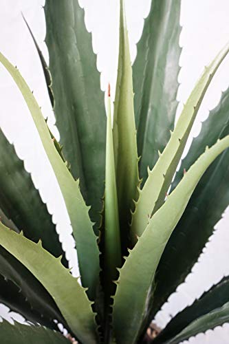 Vintage Home Botanicals Indoor/Outdoor Decorative Artificial Agave Plant, 53", Green #TOP3