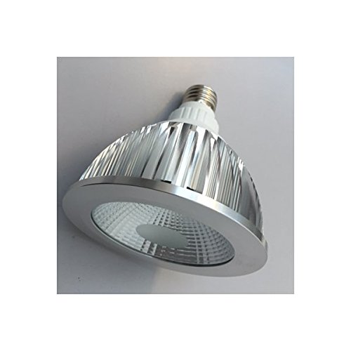 Faro LED PAR38 E27 20W 230V bianco neutro 1700 lumen