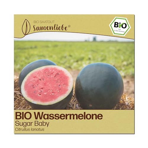 Samenliebe BIO Wassermelonen Samen | Melone Sugar Baby - sehr süß & klein - samenfestes BIO Saatgut