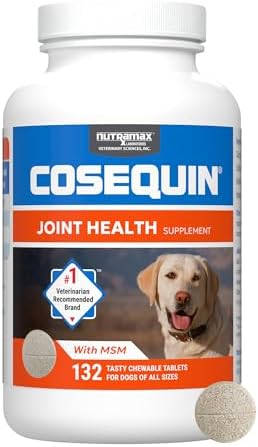 Nutramax Cosequin DS Plus MSM Joint Health Supplement for Dogs