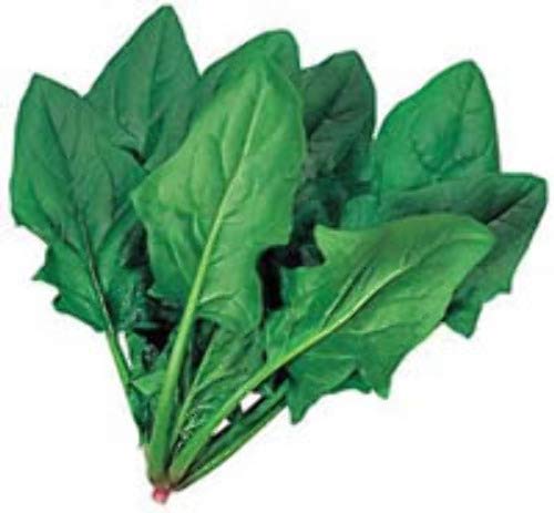 Golden Hills Farm (AVG 500-2069) seeds PALAK AGRI HRT SEEDS (B07ZJ99XDM) Amazon Price History, Amazon Price Tracker
