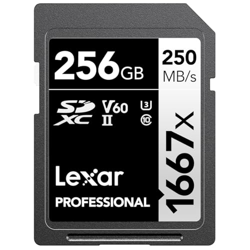 Lexar Professional 1667x SDXC (256GB)