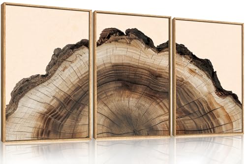 Image of KAIRNE Vintage Tree Rings Framed Canvas Wall Art Set, Retro Wood Stump Wall Decor, Neutral Tree Spiral Art Prints, Modern Annual Ring Artwork for Living Room, Bedroom, Farmhouse, Office-24 x36 x3