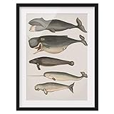 Seidenmatter Galerieprint auf 210g/m² Fine-Art Papier (hochweiß und barrierebeschichtet)
