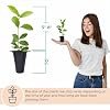 Product Photo 4