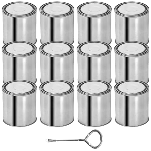 Toyosport 12 Pcs Empty Paint Cans, 0.5 L/0.5 Quart Paint