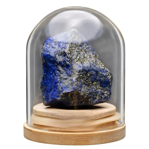 [starrycoo]VRzΕW{{bNX t̐6ގ[ RpNgCeA nwKށRNVp qmv[gɓKzWZbg y~l{g 6.5x5cmzsXY