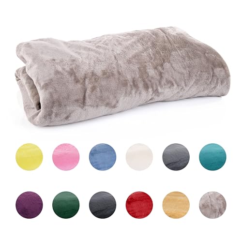 Mintra Home Throw Blanket for Couch, Soft Polyester Fleece Blanket, Cozy Lightweight Fuzzy Fall Décor Throw Blankets for Bed/Bed Cover/Couch Cover, 51” x 60” (XS, Mocha)