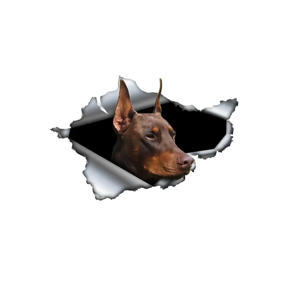 Bull Terrier Aufkleber, 3D-Träneneffekt, Reflektierend, Wass