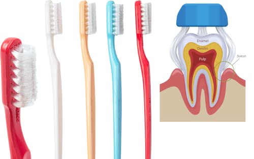 Collis Curve Soft 3-Sided Orthodontic Toothbrush Pack of 4