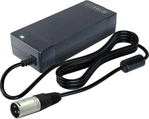 GO SOLID! Caricabatterie compatibile con Moovway V3 Fatbike