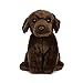 Peluche Living Nature - Chien Labrador en peluche, brun chocolat (20 cm)