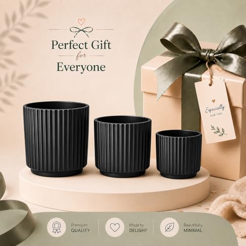 Image of Xtore Architectural Ceramic Ribbed Planter Set | Matte Finish Cylindrical Plant Pots for Home, Office & Living Room Decor - (Set of 3, Black, Planter ONLY)
