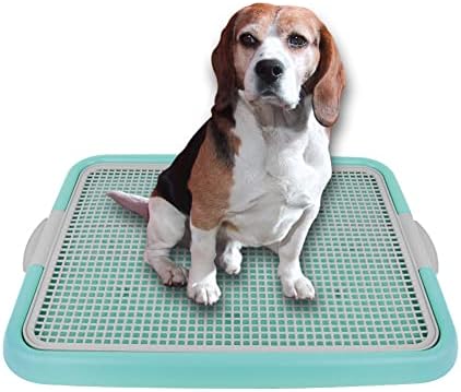Mesh Training Toilet Potty Tray for Puppy and Small Size Dog 20.3 x 16.3 x 1.2 inch (Mint+Gray)