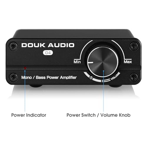 Mini subwoofer jednokanałowy wzmacniacz mocy Mono Power Amplifier Subwoofer Wzmacniacz