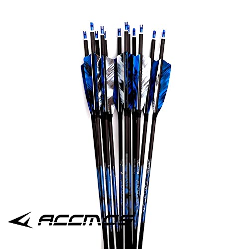 300-Spine Arrow 32-Inch Arrow Target Practice Arrow Hunting Arrow Carbon Arrows Compound Bow Recurve Bow Adult Youth Archery Indoor Outdoor Shooting Bullet Field Tip 18Pc Style2 #TOP3