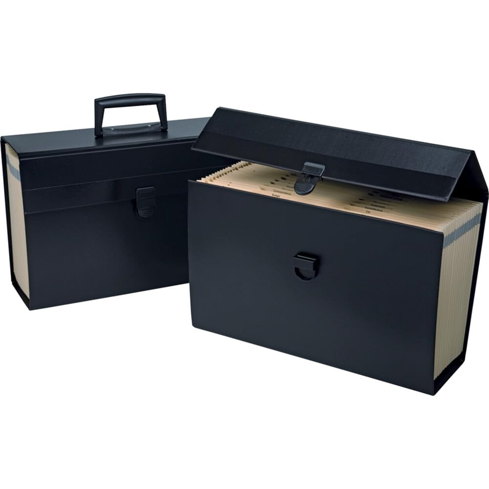 Amazon.com : Pendaflex Portafile Expanding Organizer, 15 1/8