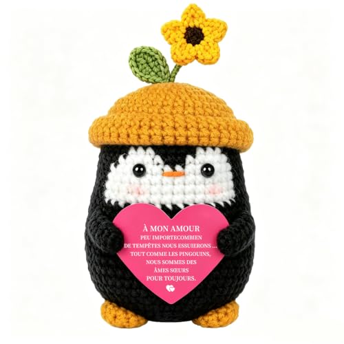 Cadeaux pour Lui & Elle, Petit Ami & Petite Amie – pour Mon Amour, Manchot Crocheté Fait Main, Cadeau d'anniversaire de Couple Et d'anniversaire pour Femmes & Hommes