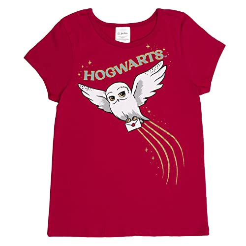 Harry Potter Big Girls 3 Pack Graphic T-Shirt Blue/Dark Heather Grey/Maroon 10-12 #TOP2