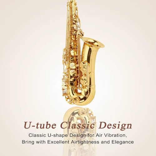 EMILOREY Alto Saxophone E Flat for Student Beginner, Brass Saxophones Instrument Gold Lacquer Full Kit with Hard Case, Mouthpiece,Neck Strap,Reeds,Cleaning Cloth&Rod,Gloves,Stand