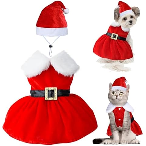 GOYOSWA Cat Kitten Christmas Outfit Cat Christmas Dress Cat Santa Hat Cat Santa Costume Clothes Dog Holiday Outfit Christmas Dresses for Kittens Cats Puppy (Christmas Dress & Hat, Medium) Cover