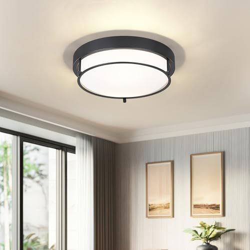 Cargifak 12-Inch Flush Mount Ceiling Light, Modern Farmhouse Style with