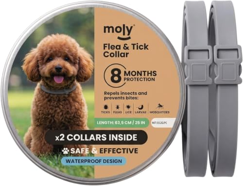 MOLY x2 Collar Antipulgas y Garrapatas para Perros Pequeños 63,5 cm | Protección hasta 8 Meses contra Pulgas, Garrapatas, Piojos, Larvas y Mosquitos | Collar Antiparasitario Resistente al Agua