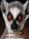  Madagascar, terre de lémuriens