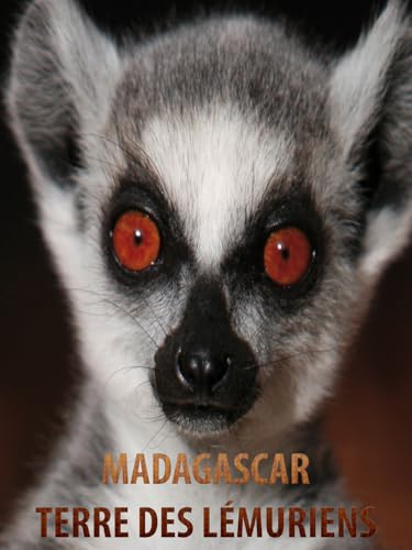 Madagascar, terre de lémuriens