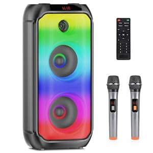 TAMPROAD A58 PA Komplettset mit 2 Mikrofonen