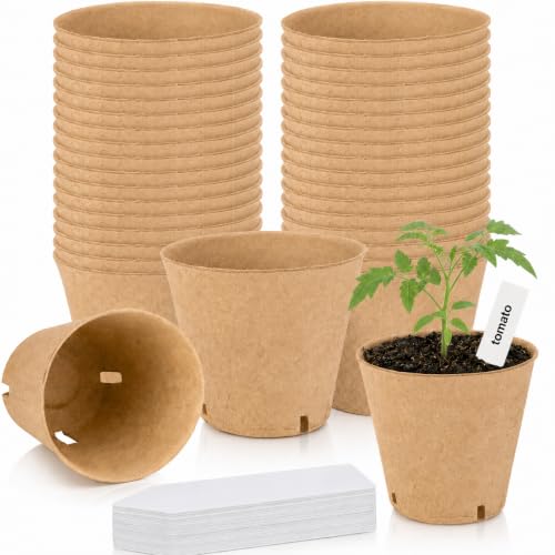 Biodegradable Seed Starter Pots, 25 Pack