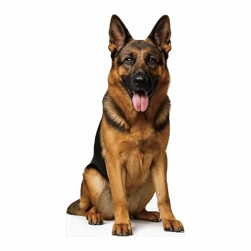 Dog Cardboard Cutout 3 Feet – Life-Size Realistic Animal Standee for Parties, Events & Classroom Displays, German Shepherd