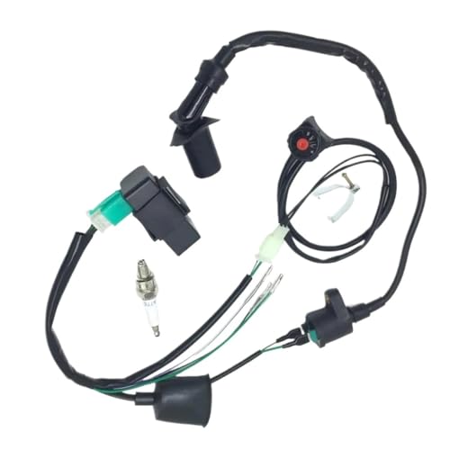 Faisceau de câbles CDI programmable pour restaurer votre dirt bike de rando 160cc - 5