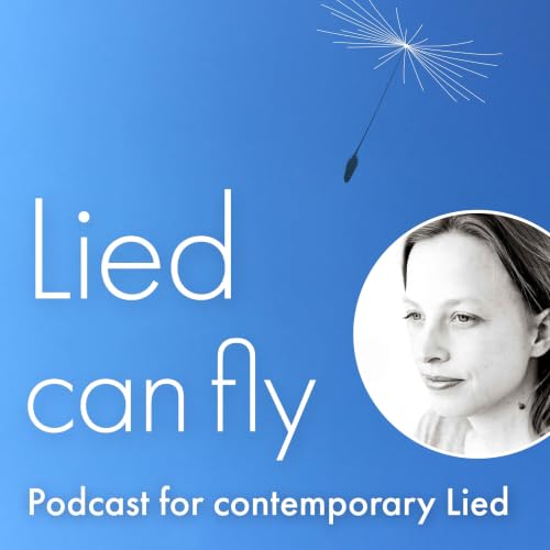 Lied can fly cover image