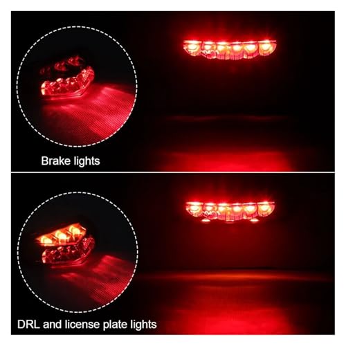 Feu arrière LED rouge et blanc 12V pour mini-moto, quad et scooter Honda