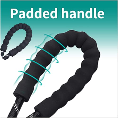 Lumjiafu Ultra-Durable Dog Leash Night Safety Reflective Dog Lead - 150 Cm Long Training Lead For Dogs - Comfortable Padded Dog Leash - Durable Design-Class Dog Lead For Large Dogs (150 Cm, Blue) #TOP5