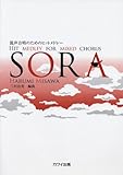 &aelig;&middot;&middot;&aring;&pound;&deg;&aring;&aring;&plusmn;&atilde;&reg;&atilde;&atilde;&atilde;&reg;&atilde;&atilde;&atilde;&atilde;&iexcl;&atilde;&atilde;&not;&atilde;&frac14; SORA (2787)