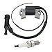 Buckbock Ignition Coil for Honda Gx240 Gx270 Gx340 Gx390 8hp 9hp 11hp 13hp Engine Lawn Mower Tractor Generator w/Spark Plug
