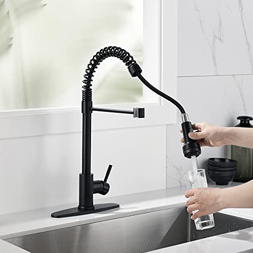 Rainovo Kitchen Faucet With 4 Mode Pull Down Sprayer Matte Black, Spring Kitchen Sink Faucet Stainless Steel With Deck Plate, Single Handle Faucets High Arc Modern With Pull Out Sprayer #TOP2