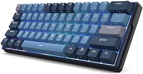 RK ROYAL KLUDGE RK61 Plus Wireless Mechanical Keyboard, 60% RGB Gaming Keyboard with USB Hub, Hot Swappable Computer PC Keyboards with Bluetooth/2.4G/Wired Modes, Silence Linear SkyCyan Switches