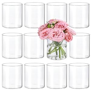 12pcs 4 Inch Glass Cylinder Vases for Centerpieces, Clear Vases for Wedding Decorations and Indoor Home Decor, Tall Glass Flower Vases, Hurricane Candle Holder for Table Shelf