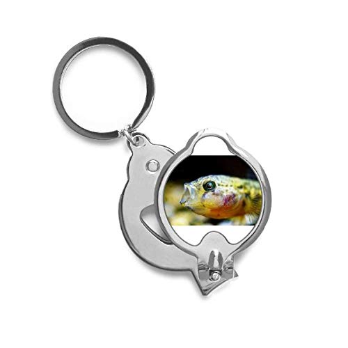 Coupe-ongles petits poissons tropicaux pour en finir avec ongles cassés