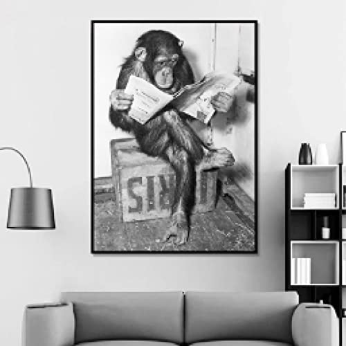 Chimpanzé Lecture Journal Art Impression sur Toile 60x90cm - 4